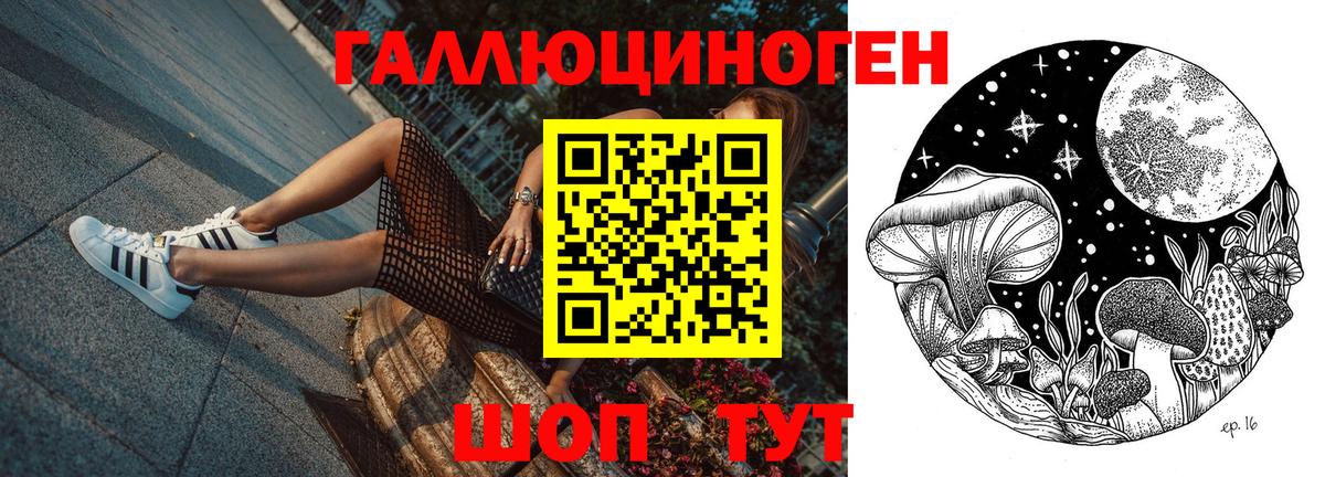 Псилоцибиновые грибы Psilocybine cubensis  Вход с VPN  Псилоцибиновые грибы Cubensis  Кинешма 