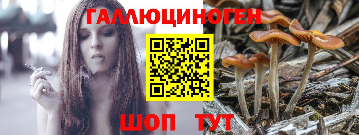 Галлюциногенные грибы MAGIC MUSHROOMS Кинешма